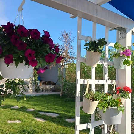 Luxury Villa Sentada Vinišće Eksteriør billede