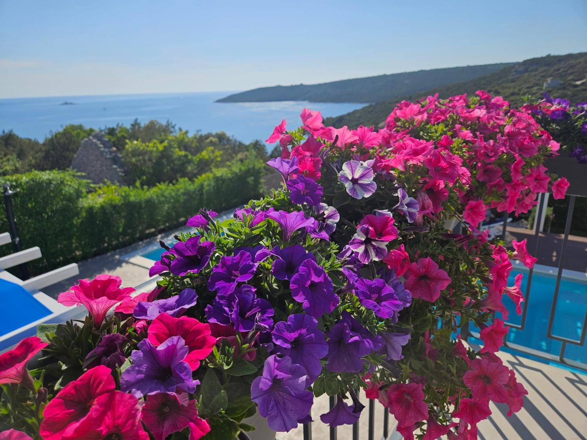 Luxury Villa Sentada Vinišće Eksteriør billede